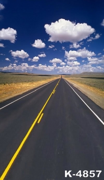 Road in Wide Stretch of Grassland Scenic Backdrops Stage Background Vinyl Photography Backdrops