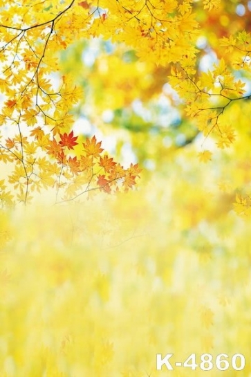 Autumn Fall Yellow Leaves Scenic Photography Backgrounds and Props