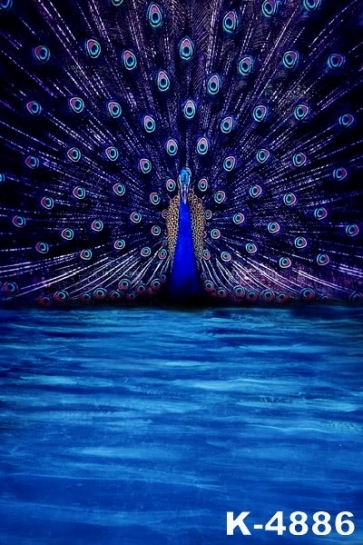 Beautiful Peacock Flaunting Tail Blue Scenic Wall Vinyl Backdrops