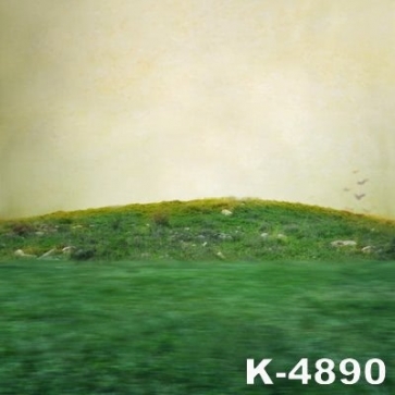 Scenic Green Grassland Backdrop Background for Photography