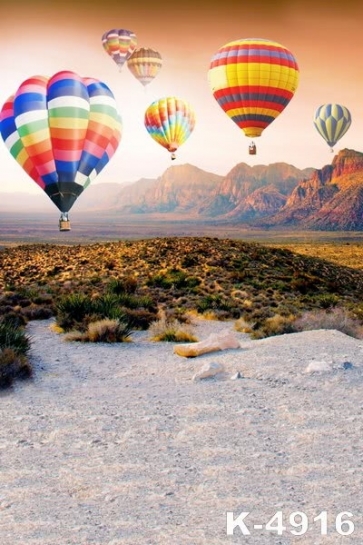 Colorful Hot Air Balloons Flying above Gobi Desert Photo Prop Background