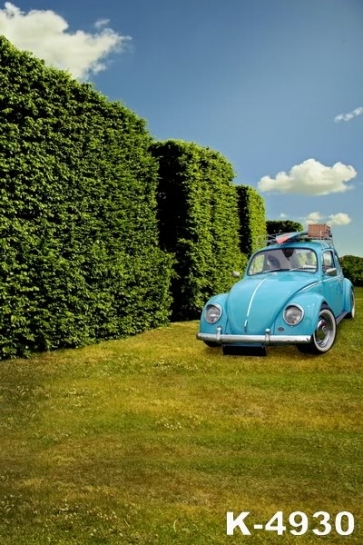 Scenic Backdrops Blue Car on the Lawn Vinyl Photography Backdrops