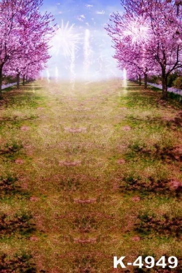 Romantic Cherry Blossoms Fireworks Drop Studios Backdrops