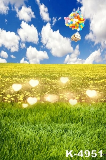 Colorful Balloons Flying above Yellow Flowers Green Grass Pro Photo Backdrops