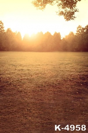 Playground in Park in Sunset Photography Photo Backdrops