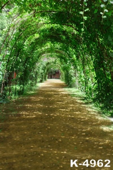 Green Cane Vines Annular Channel Drop Studios Backdrops