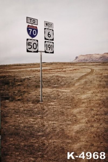 Road Sign in Field Drop Studios Photo Backdrops