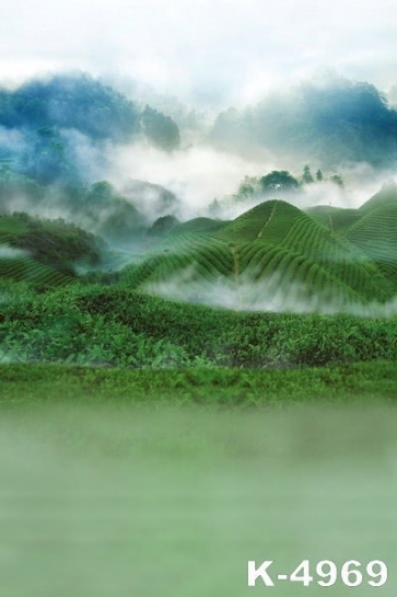 Green Tea mountain in Clouds Scenic Photography Backgrounds and Props