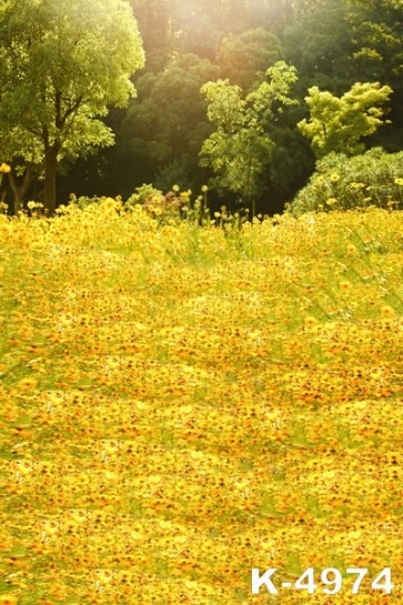 Green Trees Yellow Flowers in Wild Field Rustic Backdrops for Photography