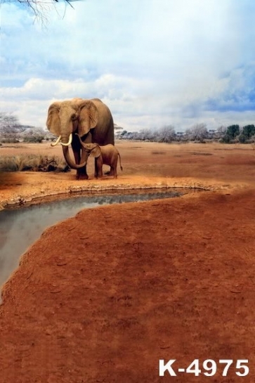 African Safari Elephants in Pampas Scenic Background Drops for Photography