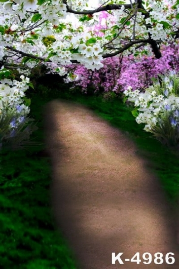 White Pear Blossoms Country Road Scenic Photography Background Props