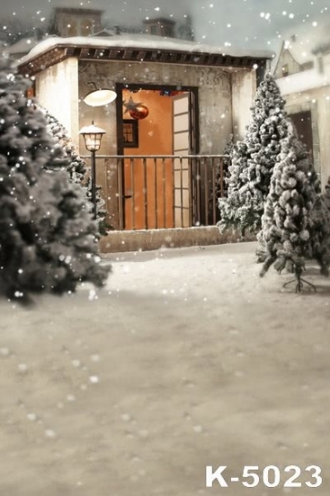 Winter White Snow Trees House Vinyl Backgrounds For Photography