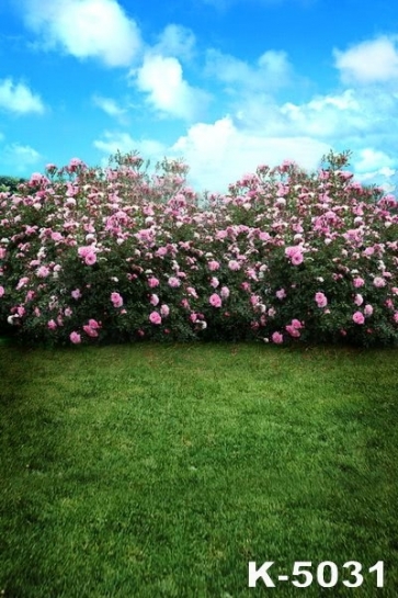 Green Grassland Pink Flowers Blue Sky White Clouds Pro Photo Backdrops