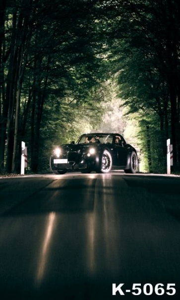 Car on the Forest Road Eevning Scenic Backdrops Photography Backdrops