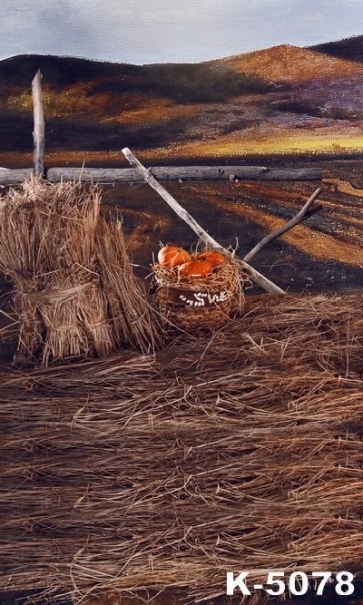 Straw in the Farm Pumpkin in Basket Scenic Photo Backdrop