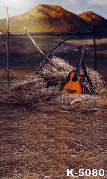 Straw in the Farm Guitar on Straw Pile Scenic Photo Backdrop