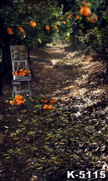 Orange Garden Citrus Orchard Scenic Drop Studios Backdrops