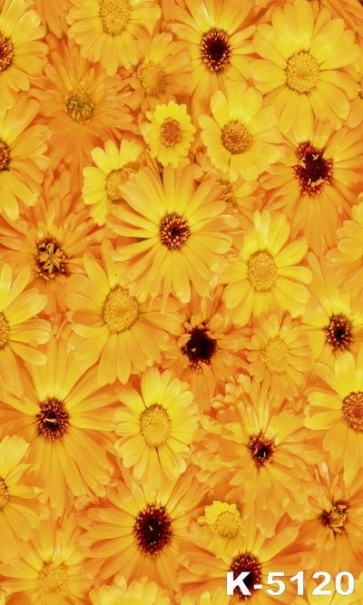 Full of Yellow Sunflowers Newborn Baby Photography Backdrops