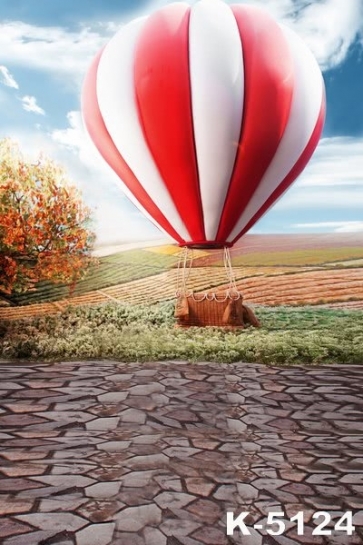 Hot Air Balloon in Countryside Field Scenic Wall Background Vinyl Photo Backdrops