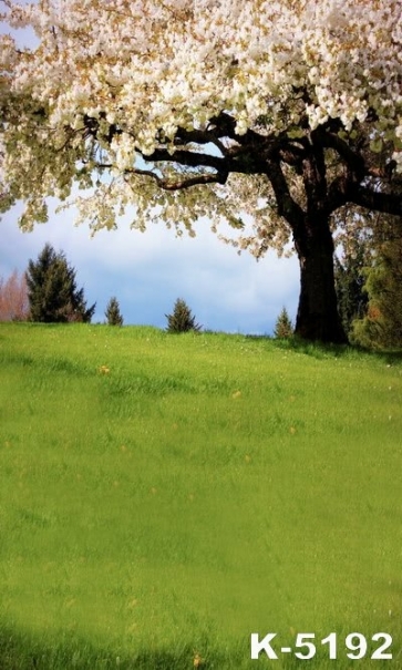 White Flowers Big Tree Green Grassland Scenic Photo Drop Background