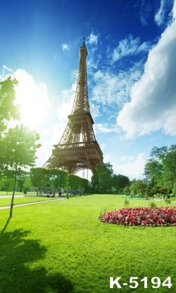 Sunny Day Paris Eiffel Tower Scenic Backdrops Vinyl Background