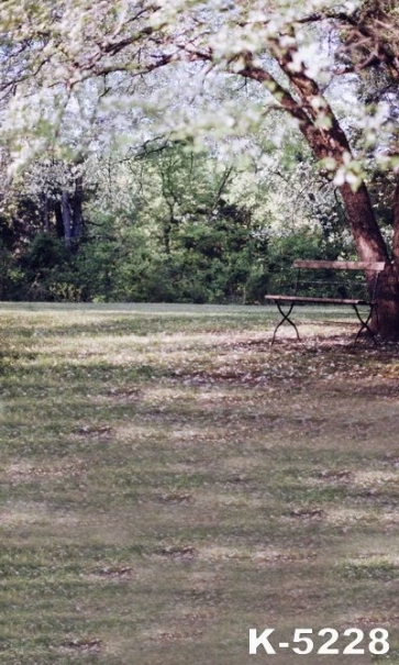 Bench under Big Tree in Park Garden Pro Photo Backdrops
