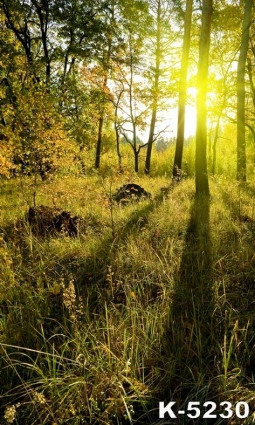 Rustic Groves Trees Grassland Scenic Drop Studios Backdrops