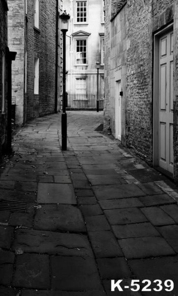 Narrow Alley Flagstone Walk Building Vinyl Backdrops Studio Background