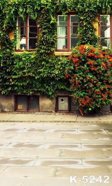 Old House with Green Plants Building Vinyl Photography Backdrops