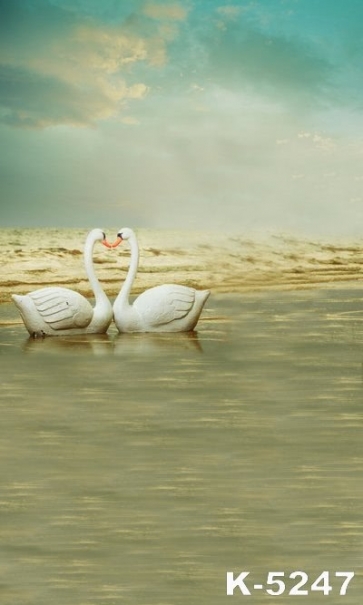 Affectionate Swan Couples by the Seaside Best Wedding Photography Backdrops