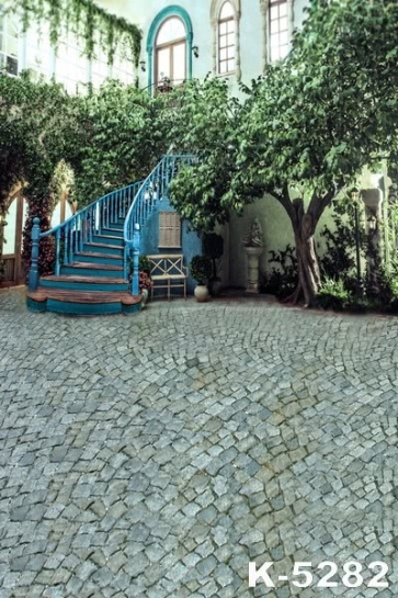 Green Trees House Blue Stairs Brick Floor Backdrop Background for Photography