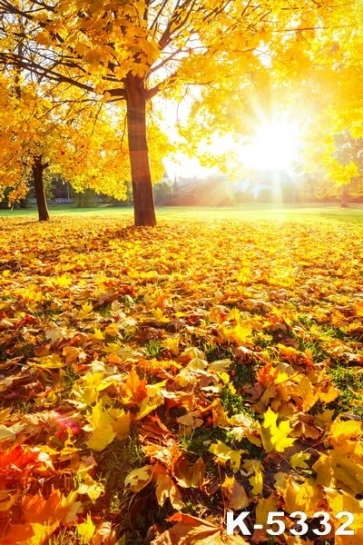 Golden Autumn Fall Yellow Fallen Leaves Scenic Photography Photo Backdrops