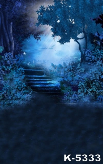 Groves Mountain Path Night Scenery Photo Wall Backdrop