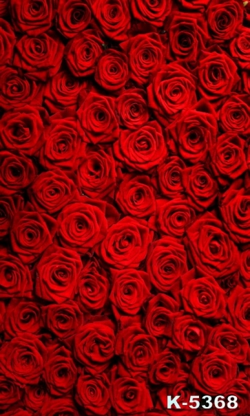 Red Roses Flowers Wall Background Drops for Photography