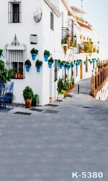 White Beach House Building Vinyl Photography Backdrops