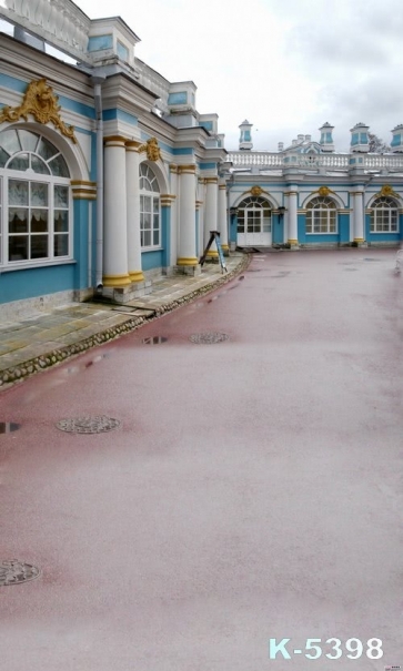 Blue White House Red Road Building Vinyl Photography Backdrops