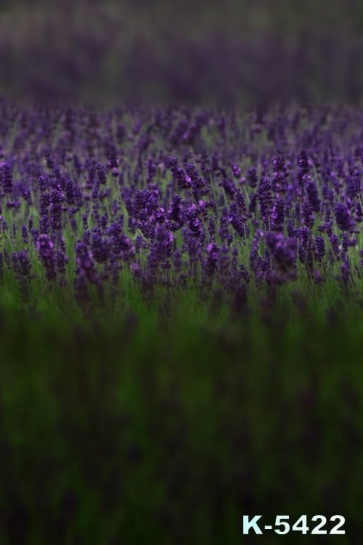 Spring Purple Lavender Flowers Vinyl Photo Background 