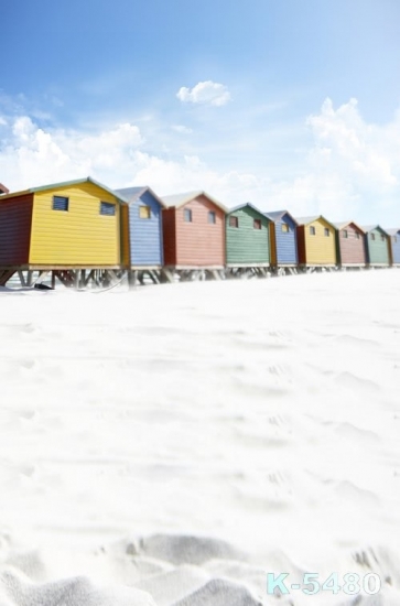 Colorful Small Wood Houses in Snowfield Scenic Photo Backdrop