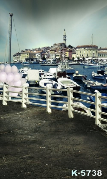 Port City Boats Mooring by Harbour Scenic Photo Prop Background