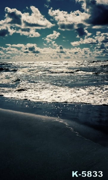 Gloomy Day Seaside Sea Waves Beach Scenic Photography Backdrops