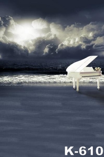 Overcast Sky White Piano by Seaside Beach Backdrop Background