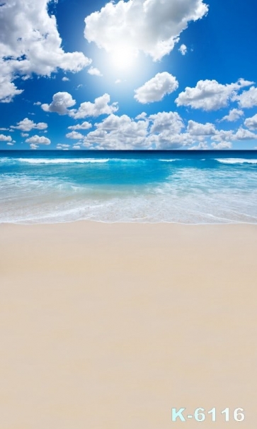 Beautiful Scenic Seaside Beach Studio Photo Drop Backdrops