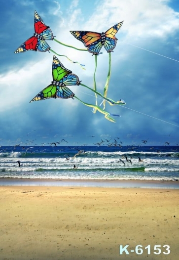 Butterfly Shaped Kites Seagulls by Seaside Beach Photo Drop Background