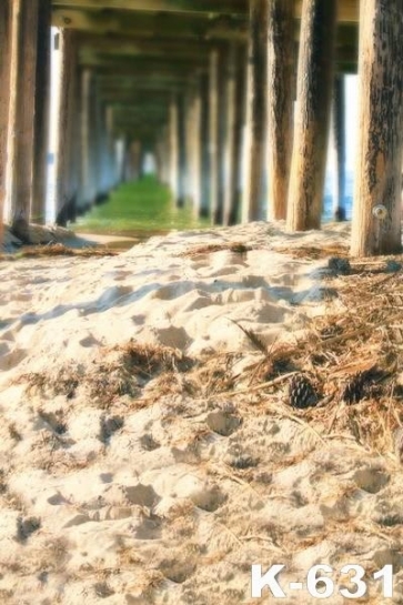 Sandy Beach under Bridge Scenic Photography Backdrop Background