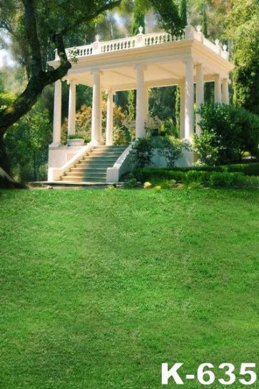 Pavilion of Modern Architectural Style Green Grassland Scenic Picture Backdrop