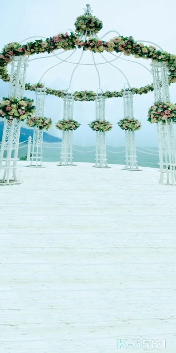 Romantic Seaside Wedding Venue Wedding Photos Backdrops for Photography