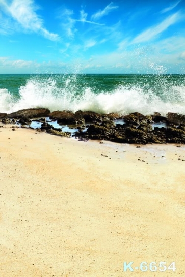 Scenic Sea Waves Beating Rocks Beach Backdrops for Photography