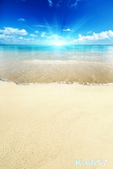 Scenic Summer Holiday Blue Sea Yellow Beach Photo Drop Background