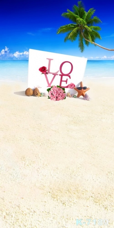Romantic LOVE Wedding Beach Photography Backgrounds and Props