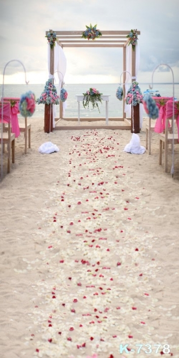 Romantic Seaside Beach Wedding Scenic Photo Drop Background